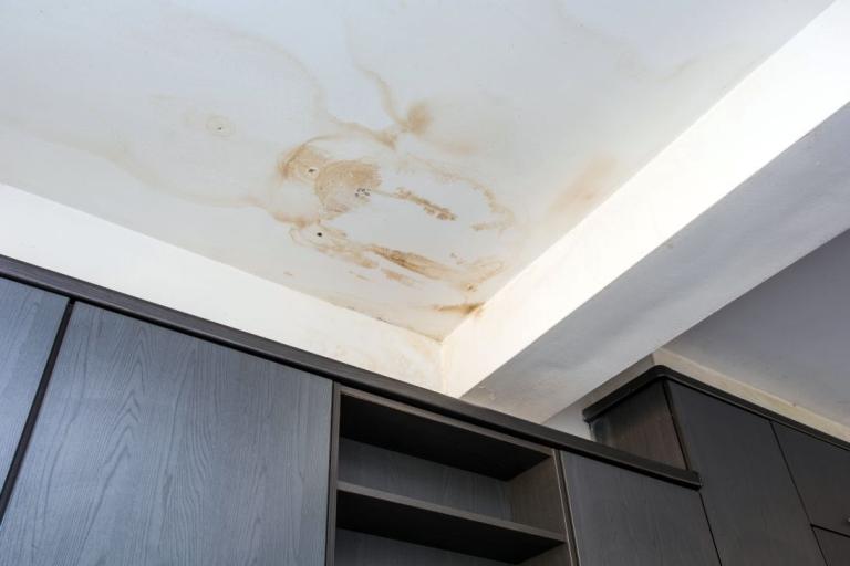 A white ceiling with brown damp marks, indicating a leak from the floor above